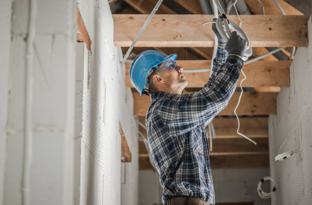 Best Electric Panel Repair  in Lake Darby, OH