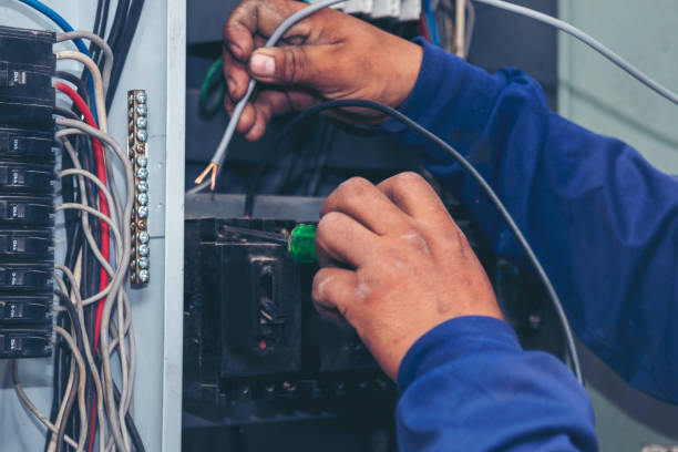 Best Affordable Electrician  in Lake Darby, OH